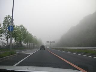 霧の国道175号線