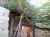 ８枚目の写真:松山城(筒井門)