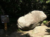 １１枚目の写真:足摺岬(ゆるぎ石)