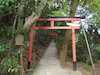 １４枚目の写真:上賀茂神社