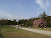 ２３枚目の写真:上賀茂神社