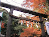 １２枚目の写真:野宮神社
