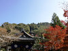 ３枚目の写真:永観堂 禅林寺
