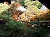 ５枚目の写真:永観堂 禅林寺