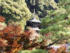 １４枚目の写真:永観堂 禅林寺