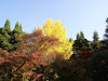 １６枚目の写真:永観堂 禅林寺