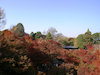 １５枚目の写真:東福寺