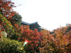 １９枚目の写真:東福寺