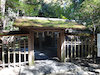 １２枚目の写真:椿大神社
