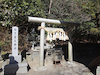 １３枚目の写真:椿大神社