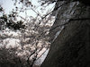 １４枚目の写真:津山城跡