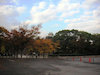 ５枚目の写真:大阪城公園(秋)