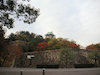１０枚目の写真:大阪城公園(秋)