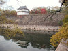 １１枚目の写真:大阪城公園(秋)