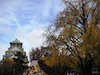 １７枚目の写真:大阪城公園(秋)