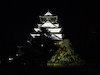 １９枚目の写真:大阪城公園(秋)