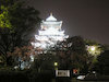 ５枚目の写真:大阪城公園(春:4月)