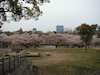 ６枚目の写真:大阪城公園(春:4月)
