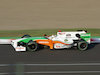 ２１枚目の写真:(2009/10/3)F1グランプリ(鈴鹿)