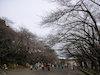 ４枚目の写真:上野公園(12:03)
