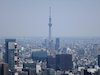 １枚目の写真:東京タワーからみた東京スカイツリー