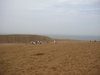 ３枚目の写真:鳥取砂丘