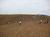 ４枚目の写真:鳥取砂丘