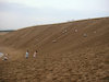 ５枚目の写真:鳥取砂丘