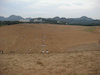 ８枚目の写真:鳥取砂丘